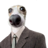 @_discord_768182477449592832:t2bot.io