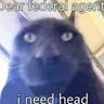 @_discord_562086053327142947:t2bot.io
