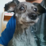 @_discord_693651538308104243:t2bot.io