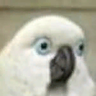 @_discord_83119903367761920:t2bot.io
