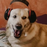 @_discord_243435570267815937:t2bot.io