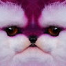 @_discord_246397425231724544:t2bot.io