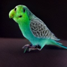 @_discord_993940162092478567:t2bot.io