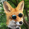 @_discord_349006051493937152:t2bot.io