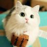 @telegram_82814392:t2bot.io