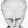 @_discord_305151435723505666:t2bot.io