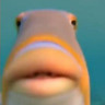@_discord_556948159092359178:t2bot.io