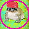 @_discord_475940471500308491:t2bot.io