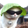 @_discord_208929484689244160:t2bot.io