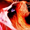 @_discord_902422677459980310:t2bot.io