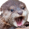 @_discord_277164510350147584:t2bot.io