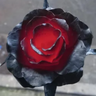 @_discord_451527283212025859:t2bot.io