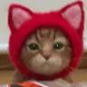 @_discord_426601902101233674:t2bot.io