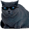@_discord_445213683279200279:t2bot.io