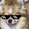 @_discord_629473682602983459:t2bot.io