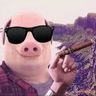 @_discord_256609930704846858:t2bot.io