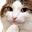 @_discord_544175272568553485:t2bot.io