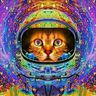 @telegram_596546395:t2bot.io