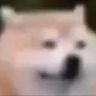 @_discord_636714525332209664:t2bot.io