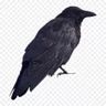@_discord_799241373899161631:t2bot.io