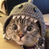 @_discord_272171113122103296:t2bot.io
