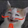 @_discord_531487532614156318:t2bot.io