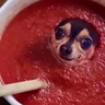 @_discord_354107599110537223:t2bot.io