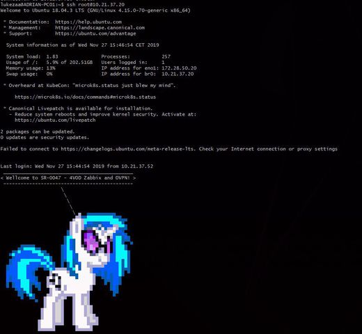 image.jpeg