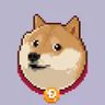 @_discord_916279781190955018:t2bot.io