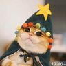 @telegram_238777392:t2bot.io