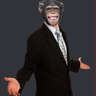 @_discord_503302487512580096:t2bot.io