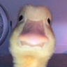 @_discord_676594114560524298:t2bot.io