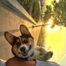 @telegram_410449378:t2bot.io