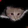 @_discord_796562688376832051:t2bot.io