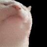 @_discord_133663546834681856:t2bot.io
