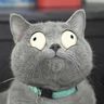 @telegram_566343200:t2bot.io