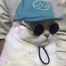 @_discord_186886908071116800:t2bot.io