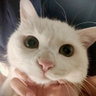 @_discord_392998611647987712:t2bot.io