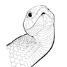 @_discord_370605213423370250:t2bot.io