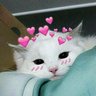 @_discord_691873618732253235:t2bot.io