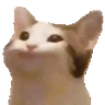 @_discord_195556351693291521:t2bot.io