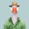 @telegram_733644219:t2bot.io