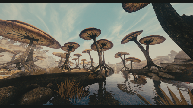 openmw_2023-09-28_18-33-22.png