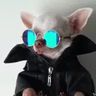 @_discord_572401809214275594:t2bot.io