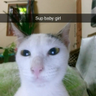 @_discord_380663704603066371:t2bot.io