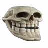 @_discord_1012171356579835905:t2bot.io