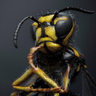 @_discord_604317330947702824:t2bot.io