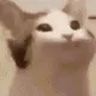 @_discord_384946728761032704:t2bot.io