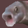 @_discord_126003544447909888:t2bot.io