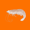 @_discord_385867528016101376:t2bot.io
